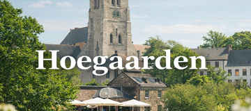 screenshot 2026 03 07 042756